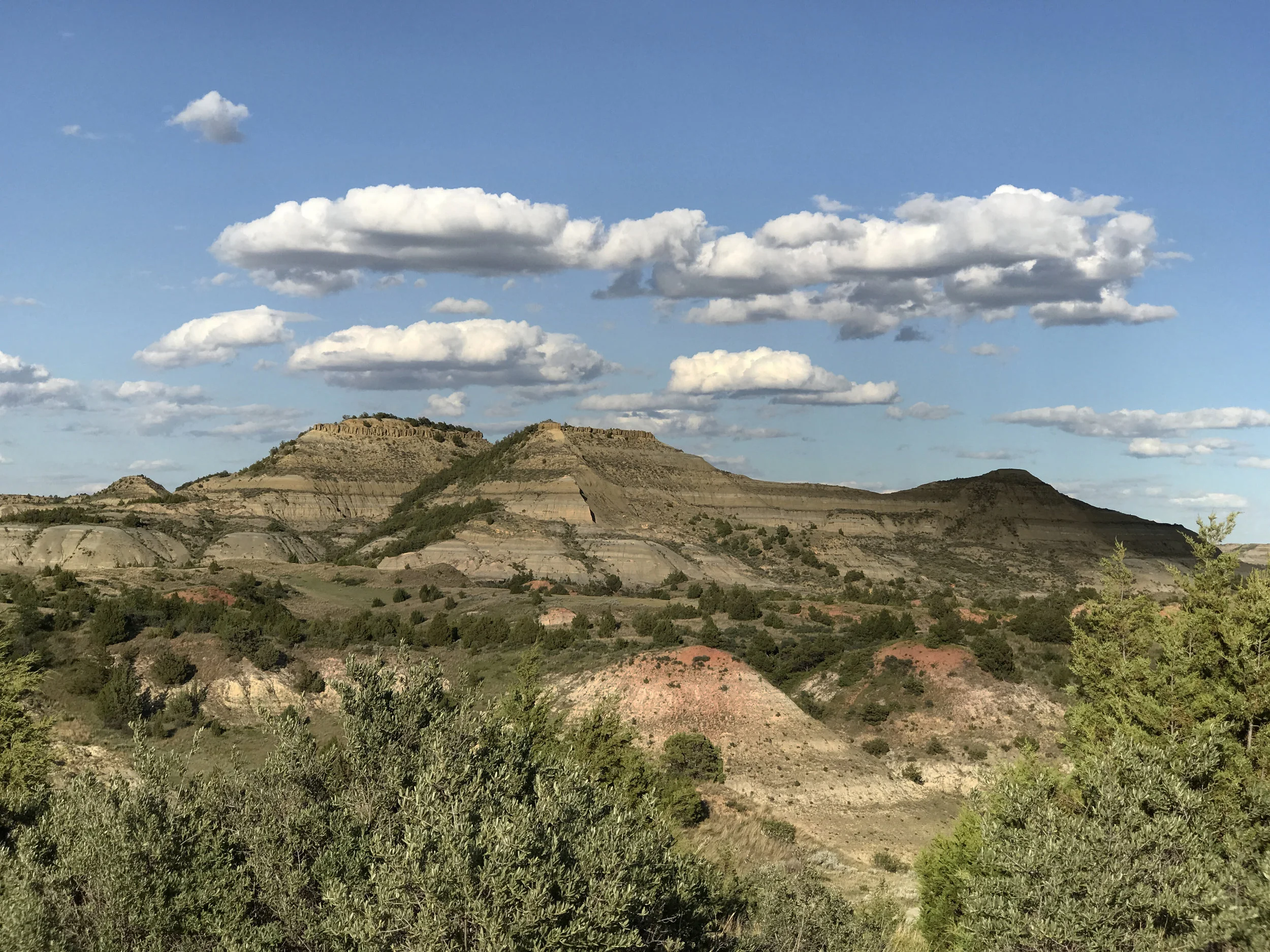 Southern Badlands Adventure — Badlands Conservation Alliance